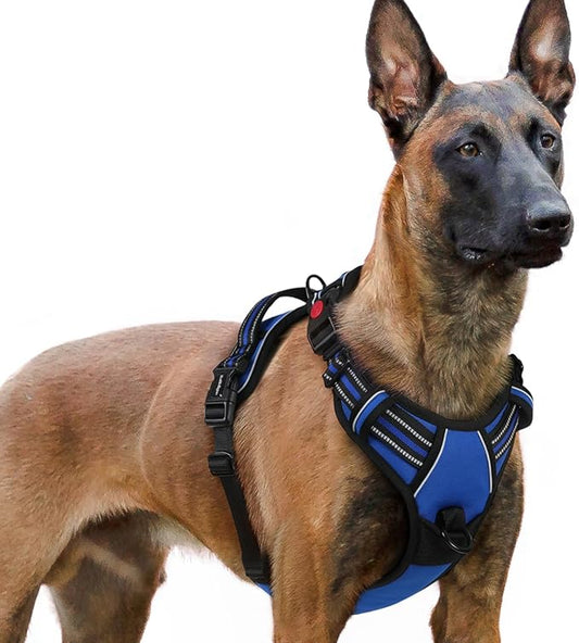 rabbitgoo Dog Harness for Large, No Pull Easy On & Off by rabbitgoo
