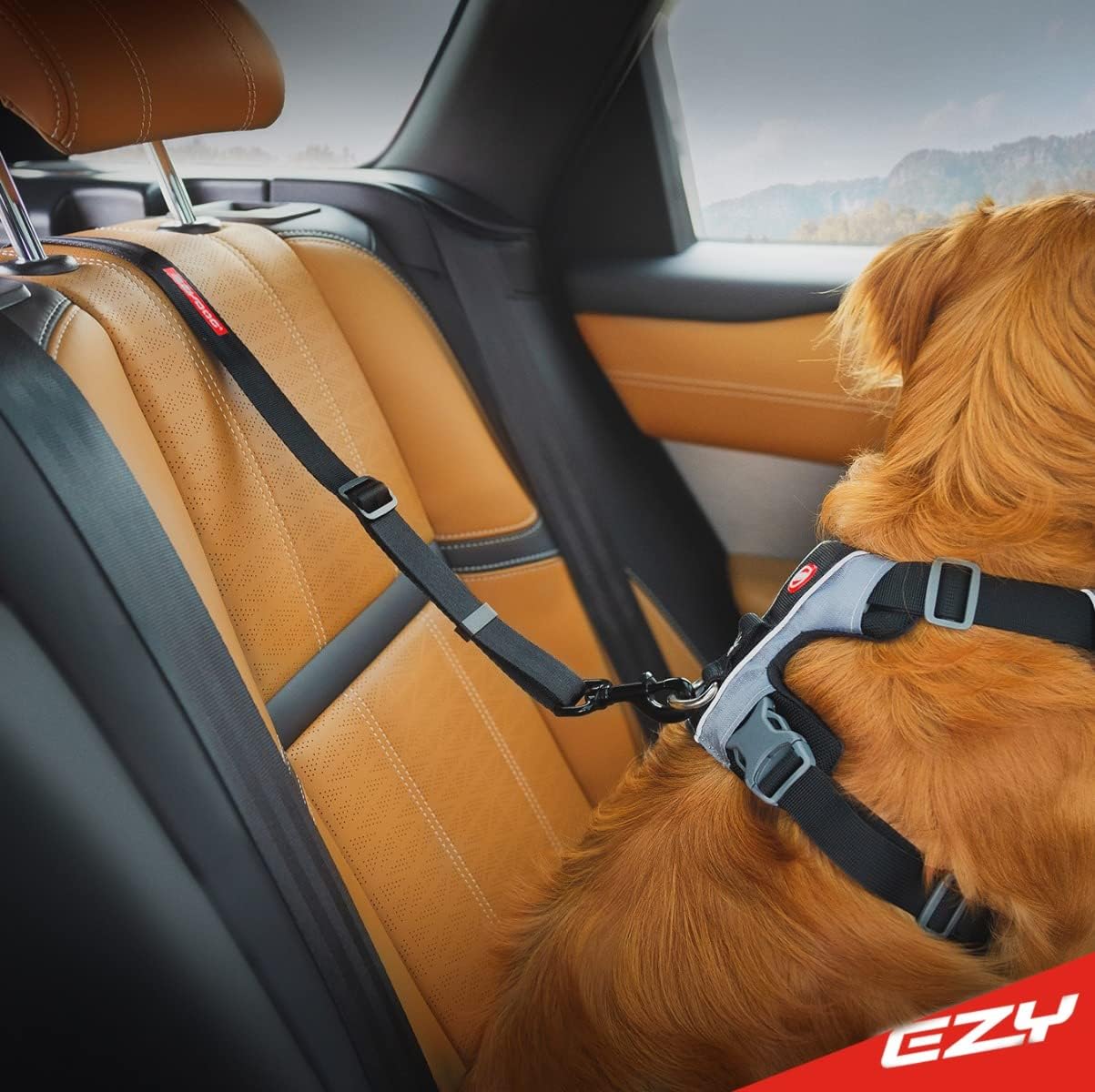 EzyDog Click ISOFIX Cargo - Dog Seat Belt Car Harness Attachment for Dogs - Adjustable Dog Restraints Seatbelts for Car Travel and Safety - (24in - 40in, Black)
