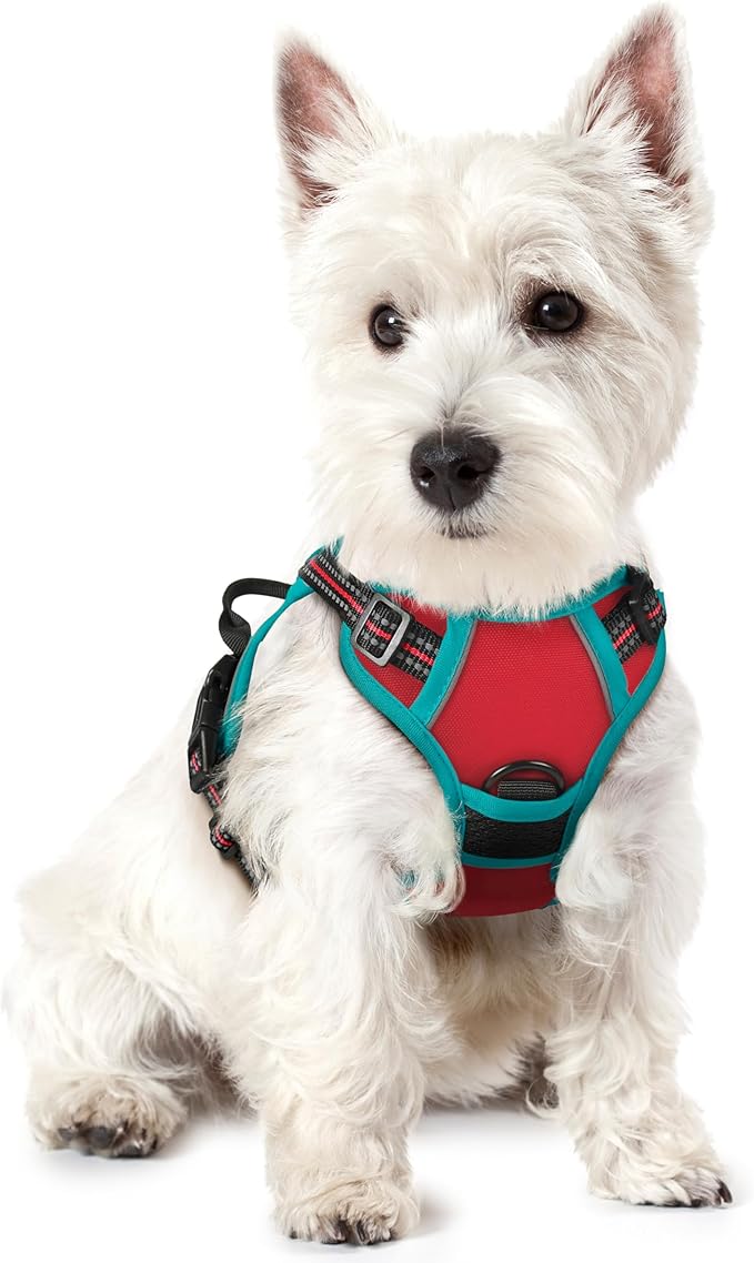 rabbitgoo Dog Harness No Pull by rabbitgoo