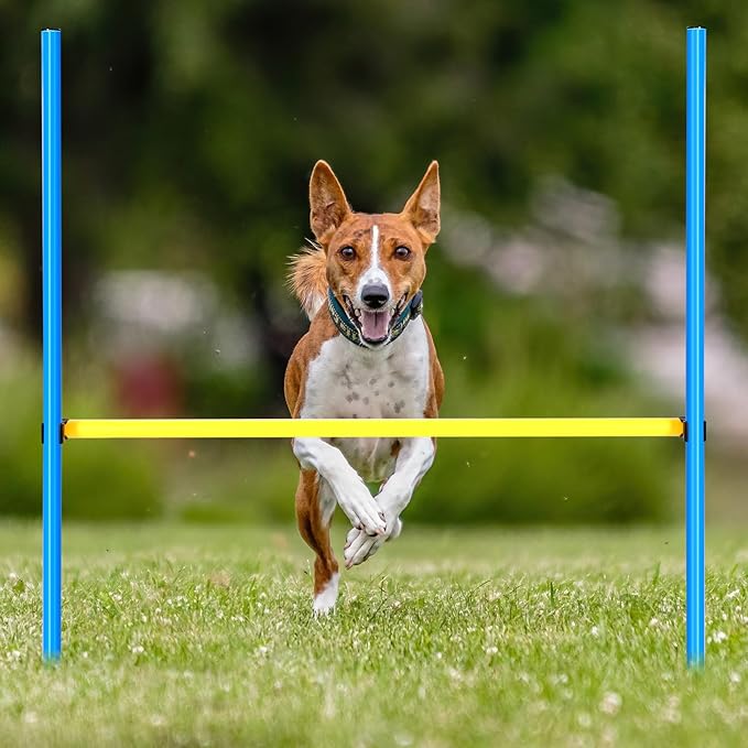 Hollowfly 8 Set Dog Agility Jump Adjustable Dog Agility Hurdle Training - Image 3