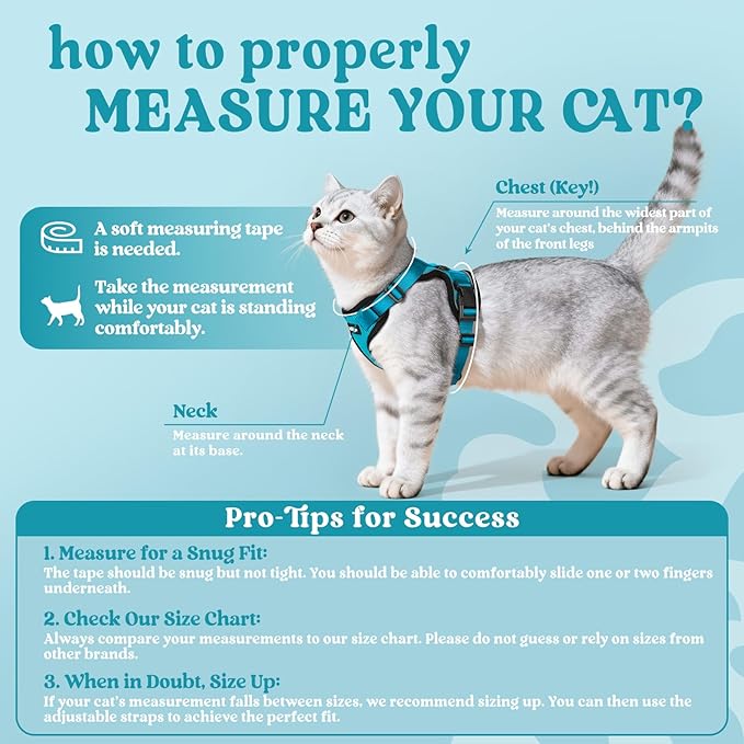 rabbitgoo Cat Harness and Leash Set, Escape Proof Kitten Harness - Image 2