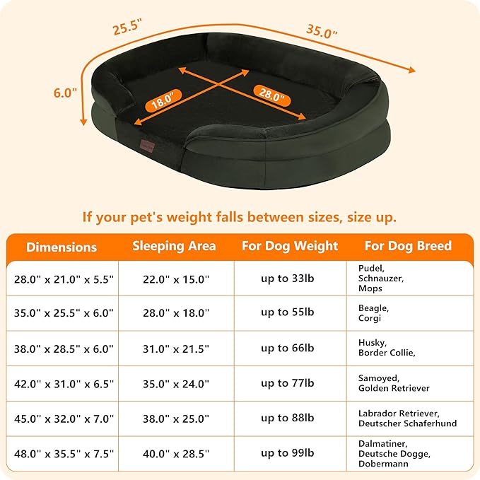 Dwanton Orthopedic Dog Bed for Medium Dogs - Image 4