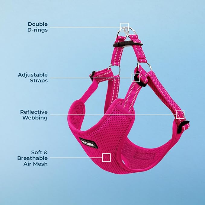 Best Pet Supplies Voyager Adjustable Step-in Flex Breathable Mesh Dog Harness - Image 3