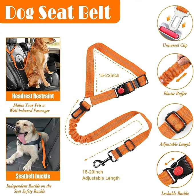LOBEVE No Pull Dog Harness, Collar & Leash Set | Includes Dog Seat Belt - Image 7