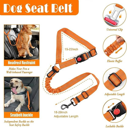 LOBEVE No Pull Dog Harness, Collar & Leash Set | Includes Dog Seat Belt - Image 7