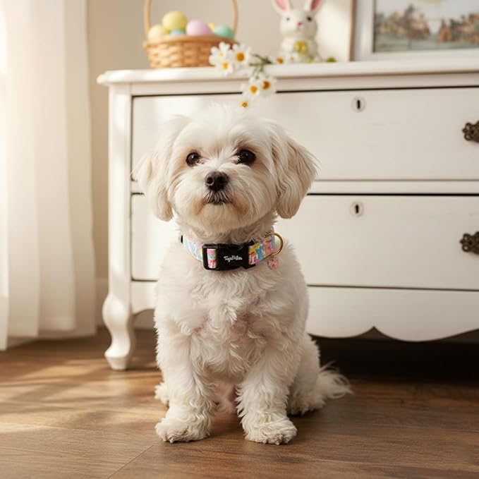 Easter Dog Collar with Cute Bunny & Bow Patterns, Small Dog Collar with - Image 6