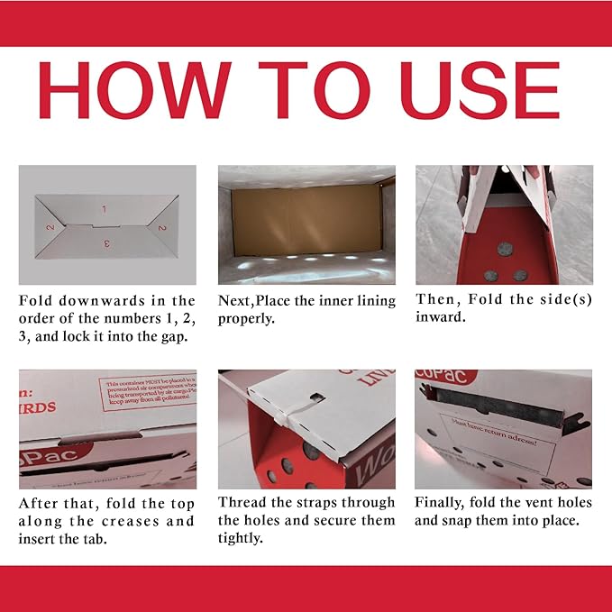 12 Pack Single Live Bird Shipping Boxes, Live Chicken Shipping Boxes, Poultry - Image 6