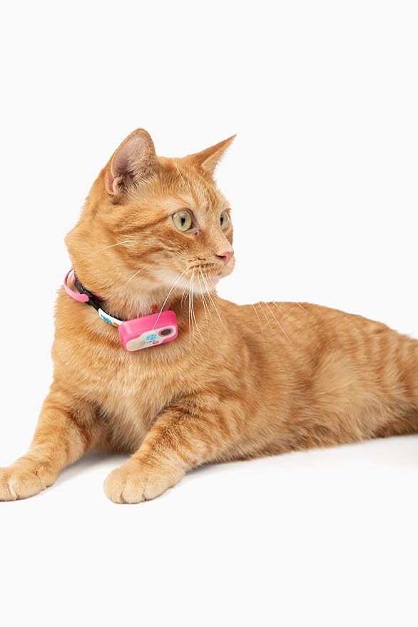 Genuine MS-5® Designer Cat Collar - Image 3