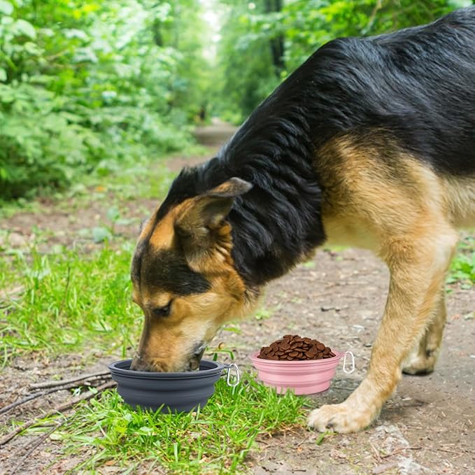 Kytely Collapsible Dog Bowls X-Large, 2 Pack Foldable Travel Bowls, Portable - Image 7