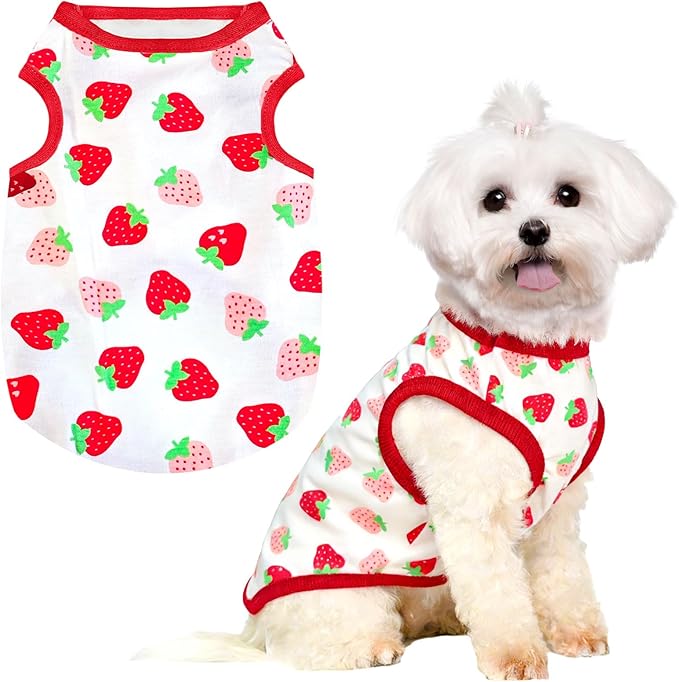 PETCARE Cartoon Dog Shirts for Small Dogs Cute Dog Clothes Red Strawberry by PETCARE