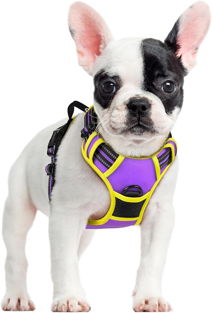 rabbitgoo Dog Harness No Pull by rabbitgoo