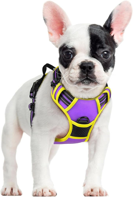 rabbitgoo Dog Harness No Pull by rabbitgoo