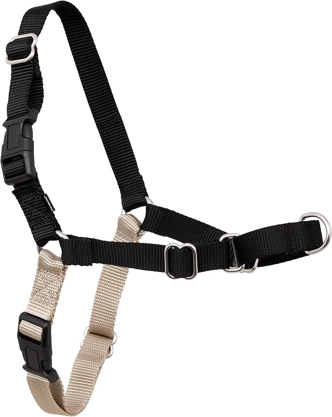 PetSafe Easy Walk No-Pull Dog Harness by PetSafe