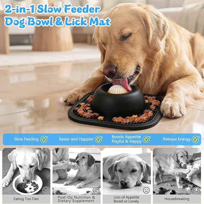Slow Feeder Dog Bowls & Lick Mat - Image 2
