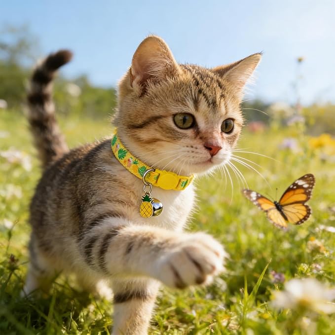 EXPAWLORER Flower Cat Collar Breakaway - Image 8