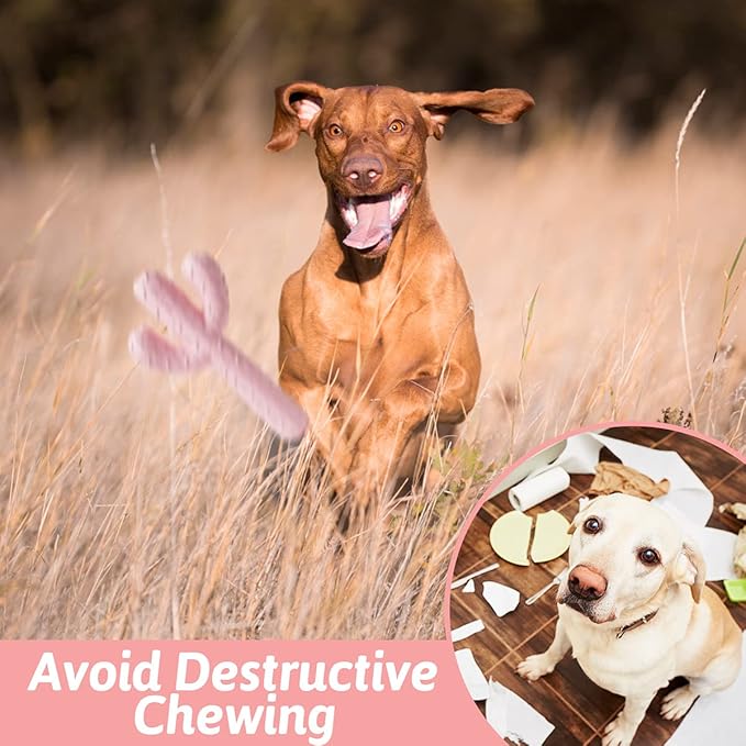 MewaJump Dog Chew Toys, Tough Rubber Dog Toys - Image 5