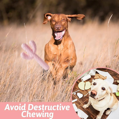 MewaJump Dog Chew Toys, Tough Rubber Dog Toys - Image 5