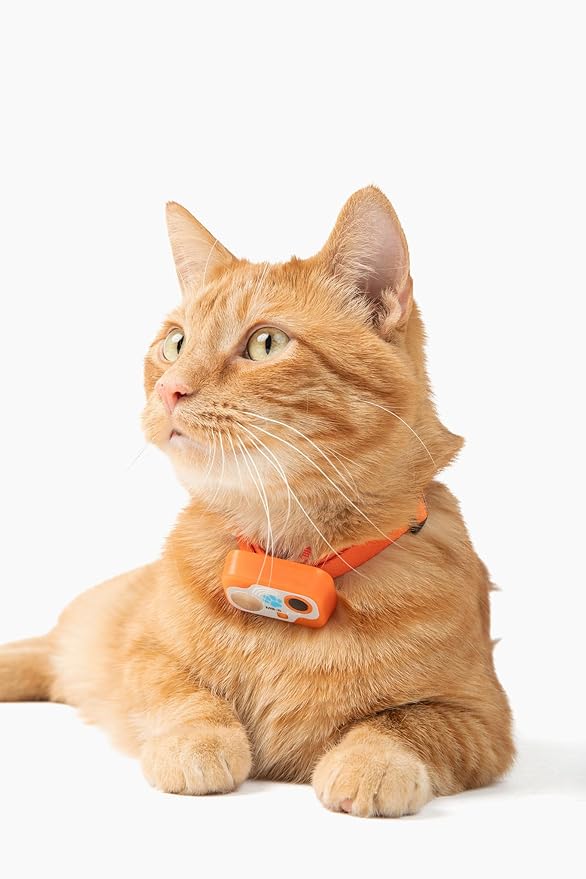 Genuine MS-5® Designer Series Cat Collar - Image 3