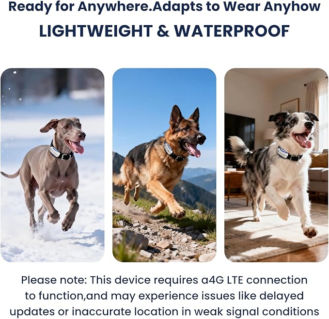 DBDD AI GPS Tracker for Dogs - Image 8
