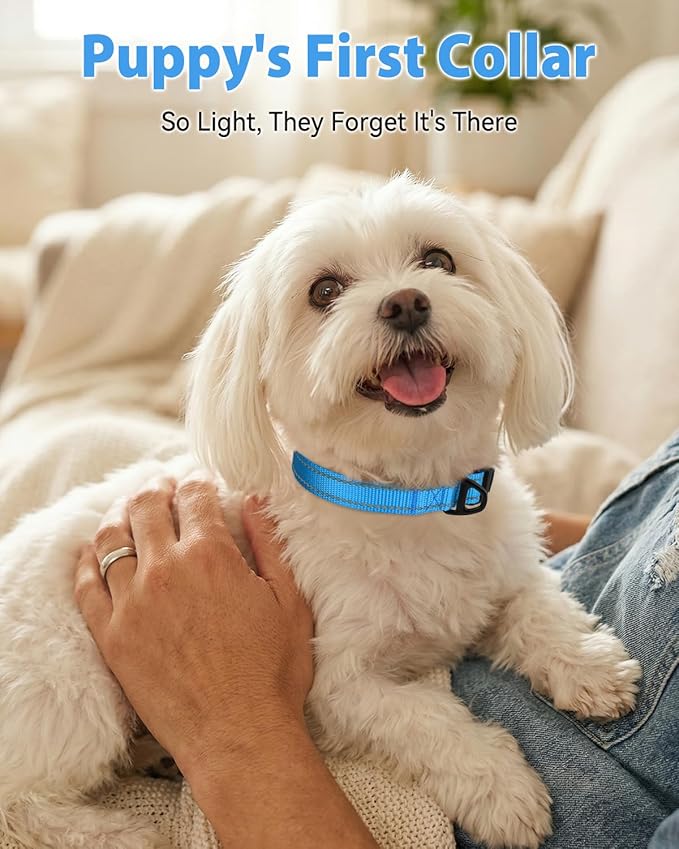 Joytale Dog Collars for Small Dogs, Feather-Light Double-Sided Reflective Nylon - Image 2