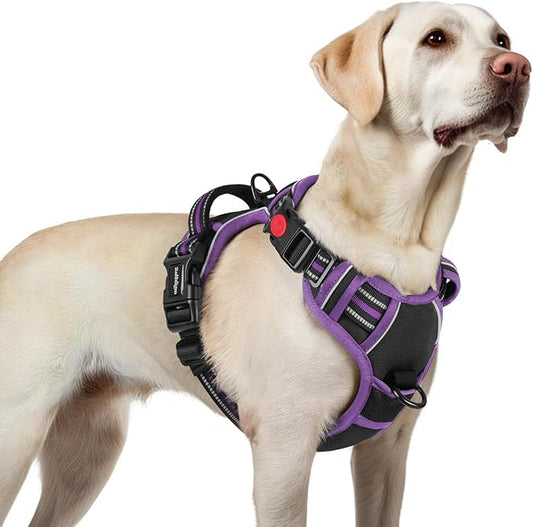 rabbitgoo Dog Harness for Large, No Pull Easy On & Off by rabbitgoo