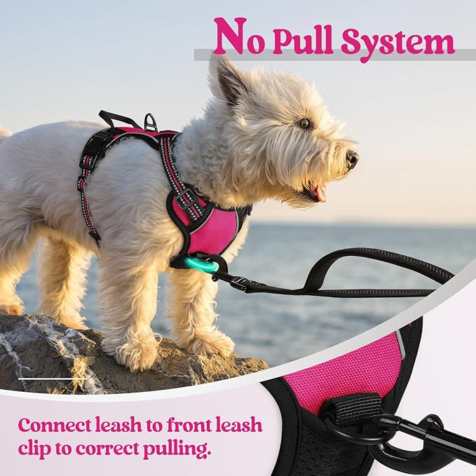 rabbitgoo Dog Harness No Pull - Image 5