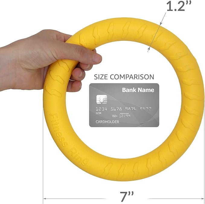 PetSpy Dog Ring Toy – Flying Ring - Image 5