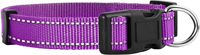 Native Pup Reflective Dog Collar, Bright Glow Colors by NativePup