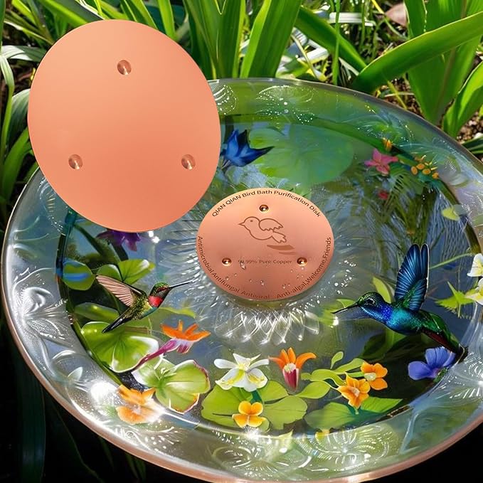 QIANQIANBird Bath Copper Disk, 0.6mm Reinforced 99.99% Pure Copper Cleaning Disk - Image 4