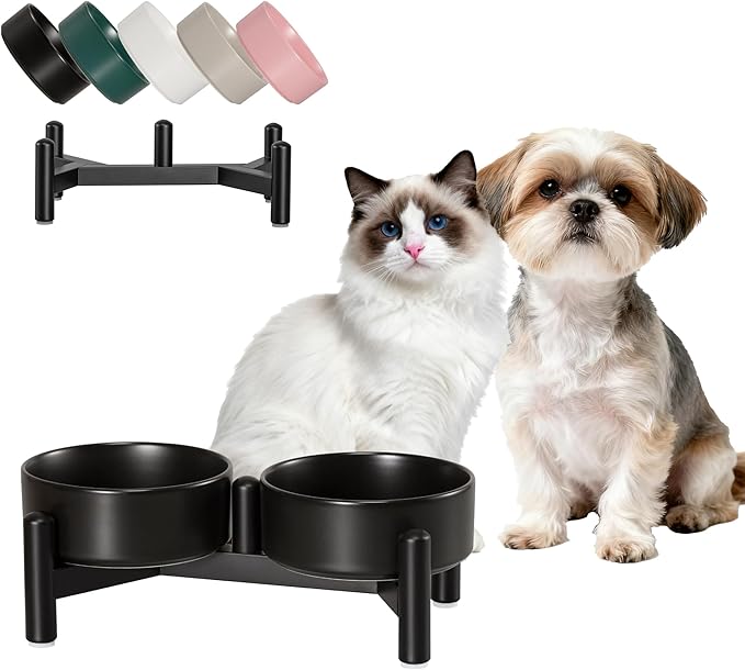 Raised Ceramic Dog Bowl Set by PTOBER