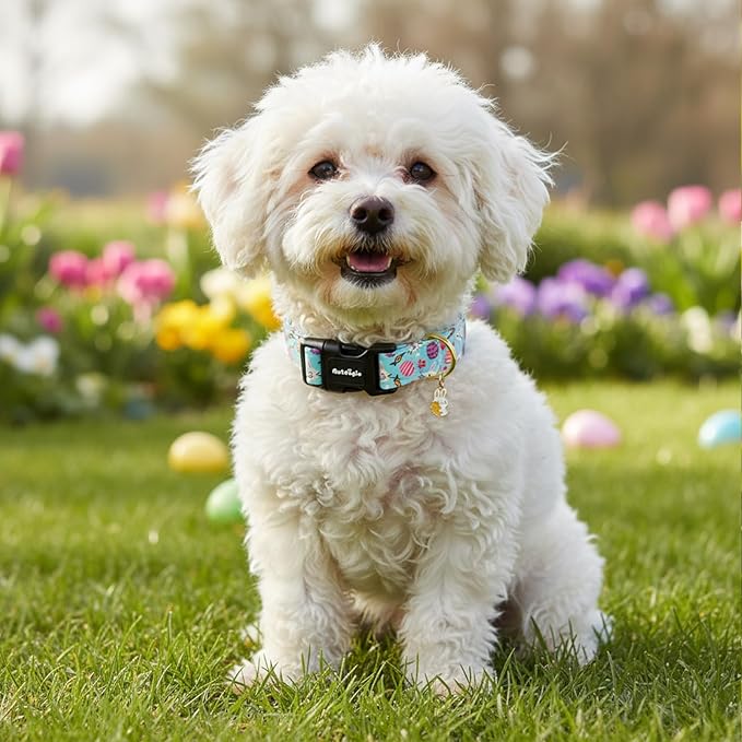 Easter Dog Collar, Spring Easter Egg Print Dog Collar - Image 7