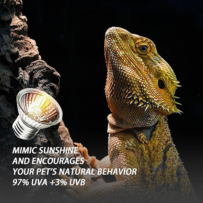 4-Pack 25W UVA Bulbs, Fit E26 Heat Reptile Lamp, Light Turtle Heat Lamp - Image 3
