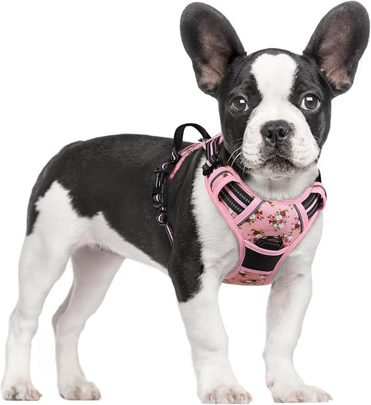 rabbitgoo Dog Harness No Pull by rabbitgoo