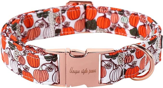 Unique style paws Dog Collar Metal Buckle Collar by Uniquestylepaws