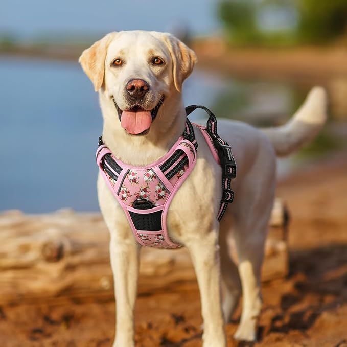 rabbitgoo Dog Harness No Pull - Image 8