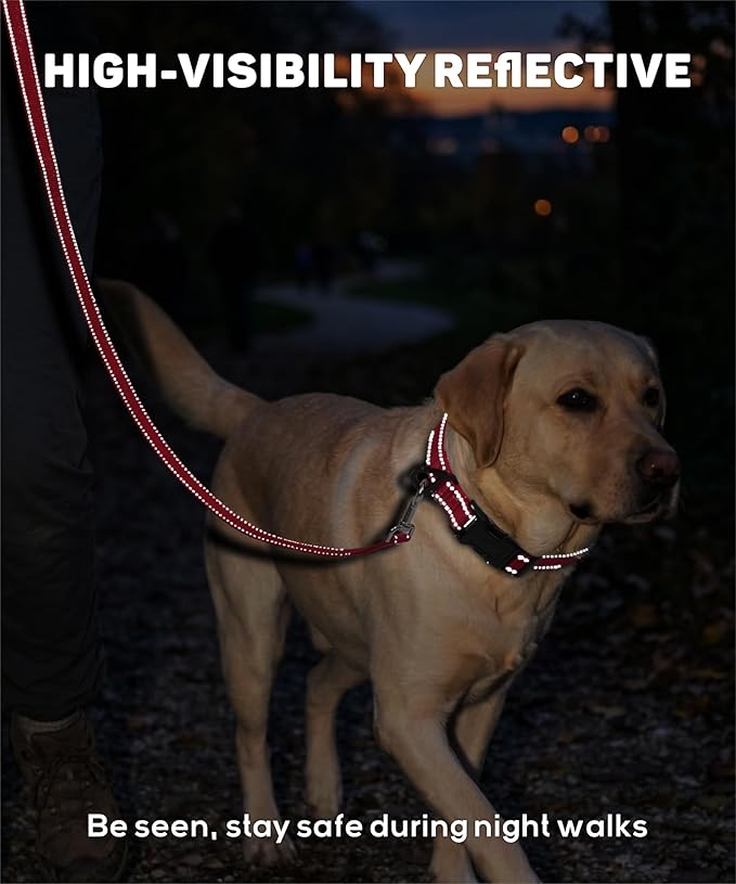 TagME Reflective Nylon Dog Collars, Adjustable Classic Pet Collar - Image 3