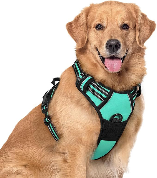 rabbitgoo Dog Harness No Pull by rabbitgoo