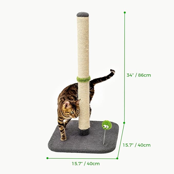 TINYBEAST 34" Tall Cat Scratching Post, Cat Scratcher Featuring Natural Sisal - Image 5