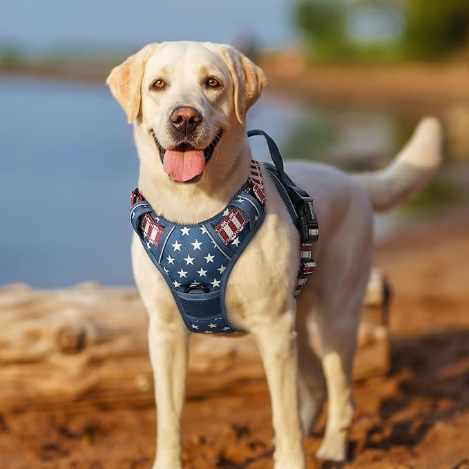 rabbitgoo Dog Harness No Pull - Image 8