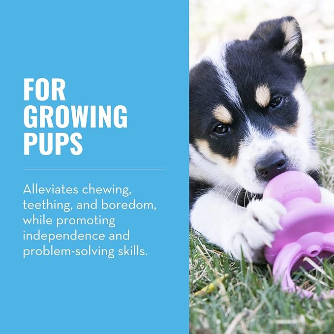 KONG Puppy Binkie - Image 2