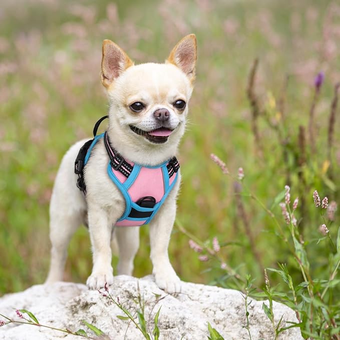 rabbitgoo Dog Harness No Pull - Image 7