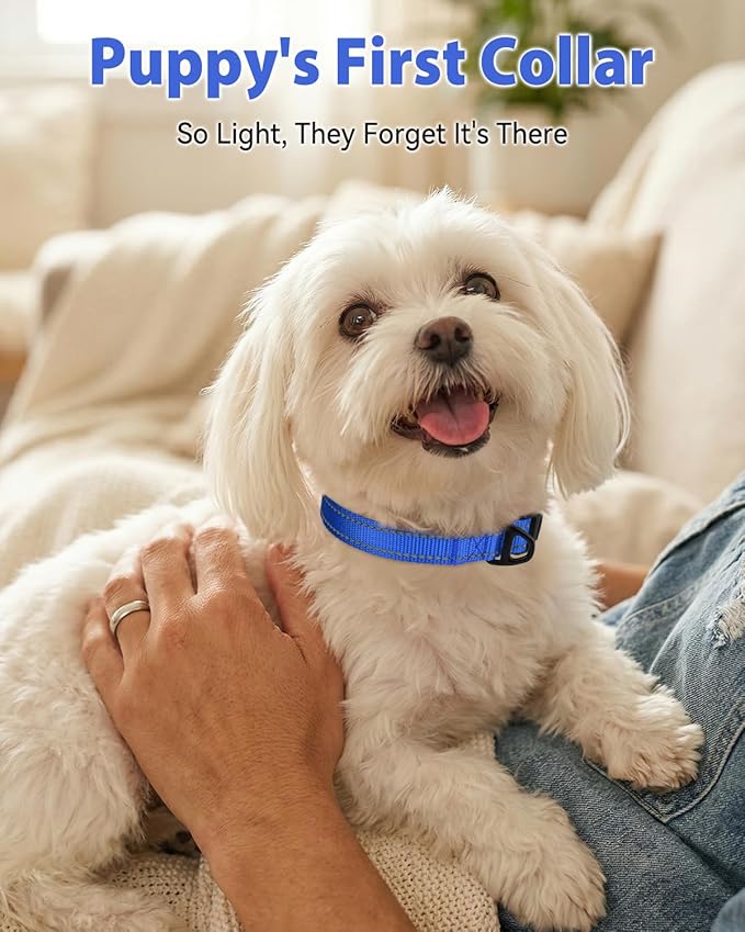 Joytale Dog Collars for Small Dogs, Feather-Light Double-Sided Reflective Nylon - Image 2