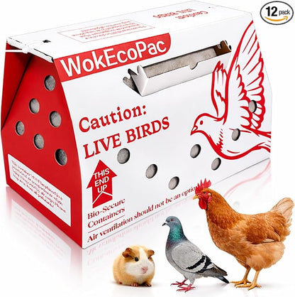 12 Pack Single Live Bird Shipping Boxes, Live Chicken Shipping Boxes, Poultry by Unknown
