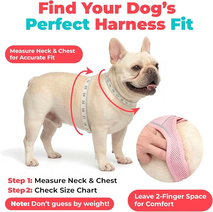 Best Pet Supplies Voyager Step-in Air Harness - Image 7