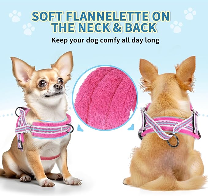 Lukovee No Pull Dog Harness and Leash Set, Soft Padded Small Dog Harness - Image 5