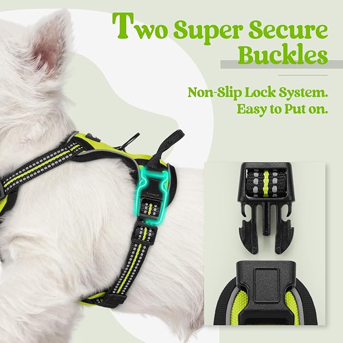 rabbitgoo Dog Harness No Pull - Image 3