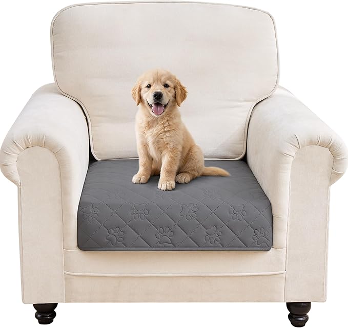 PAWFINITY Waterproof Armchair Couch Cover by Pawfinity