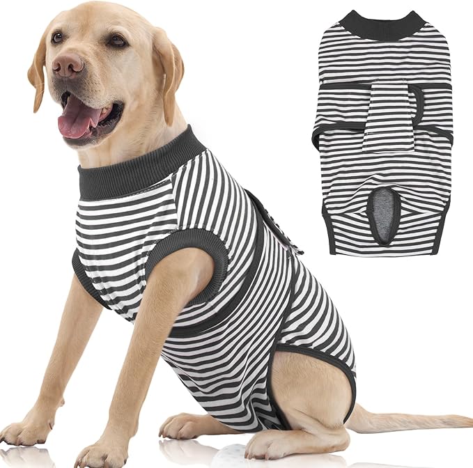 FUAMEY Dog Recovery Suit Male, Dogs Surgery Neuter Suits Puppy Spay Shirts by FUAMEY