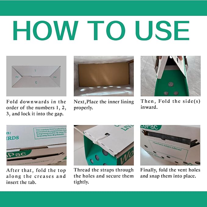 12 Pack Single Live Bird Shipping Boxes, Live Chicken Shipping Boxes, Poultry - Image 7