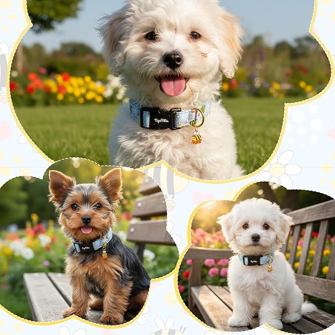 Dog Collar with Bees & Flowers Pattern, Spring Summer Collection Blue Dog - Image 5